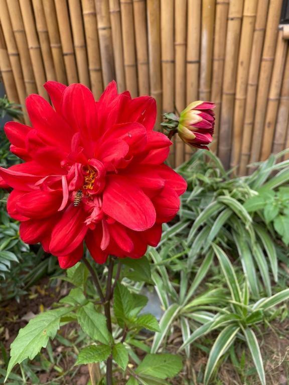 Trang An Moon Garden Homestay Ninh Binh Eksteriør billede