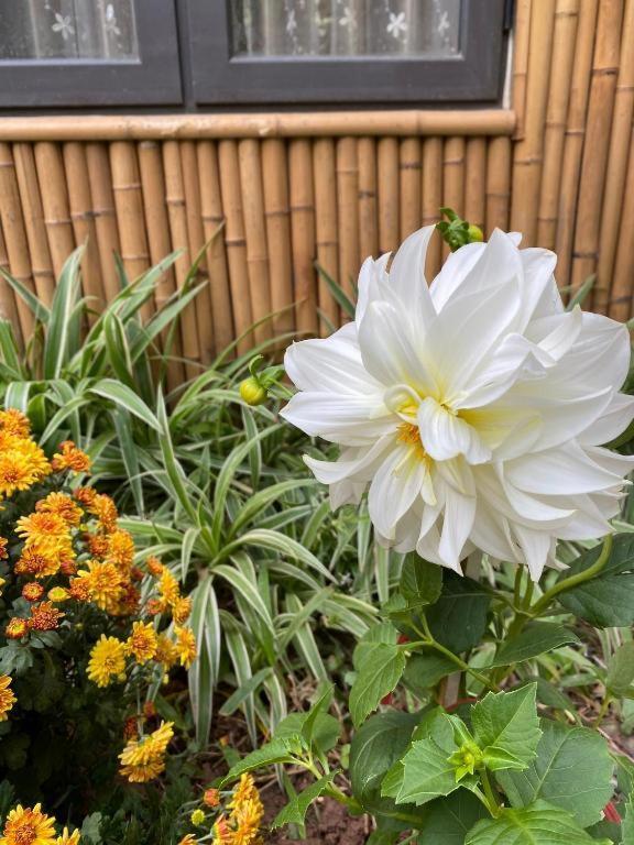 Trang An Moon Garden Homestay Ninh Binh Eksteriør billede